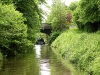 2012-06 Royal Canal Green & Silver by DP Woolheaddscn3581