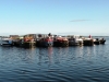 2012-08-2 Kildare boats on Lough Ree by DP Woolhead