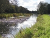 2010-16 6 Corbally Canal