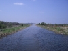 5 Bog of Moods near Roberstown by GG Gavin