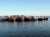 2012 0826 Lough Ree canal boats abreast by D Woolhead