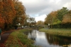 08 Naas Canal in Autumn 2