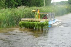 19-Weedcutter-on-Grand-near-Robertstown-June-2012-NBThePuzzler